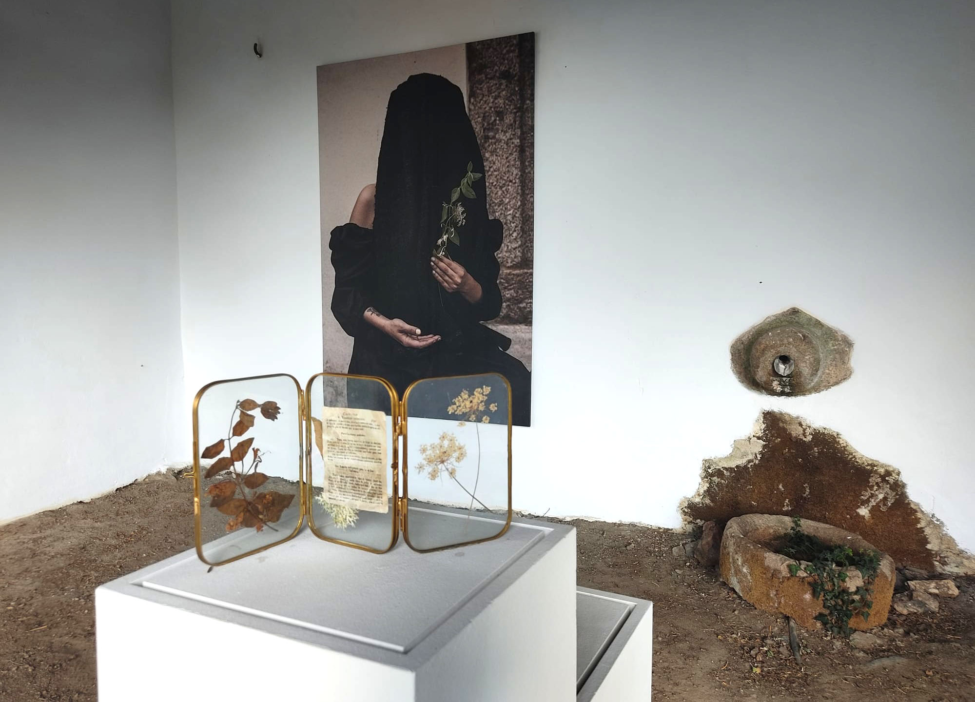Tamara Wassaf, nova narrativa no Museo Pazo de Tor